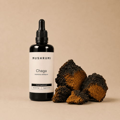Chaga - Alcohol - Free Organic Extract 100ml - mushrumi.ch
