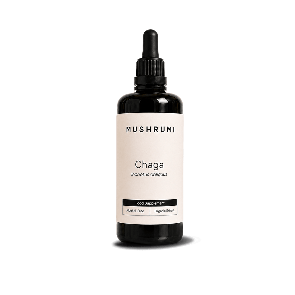 Chaga - Alcohol - Free Organic Extract 100ml - mushrumi.ch