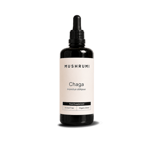 Chaga - Alcohol - Free Organic Extract 100ml - mushrumi.ch