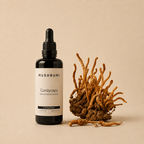Cordyceps - Alcohol - Free Organic Extract 100ml - mushrumi.ch