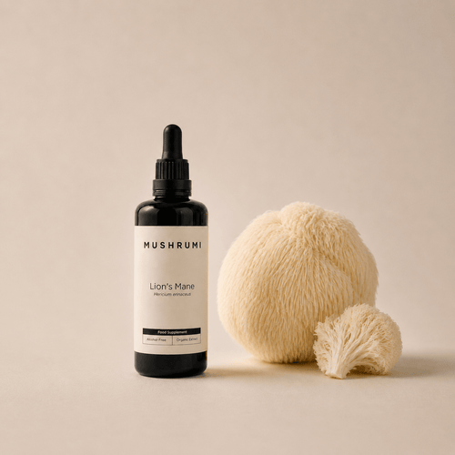 Lion's Mane - Alcohol - Free Organic Extract 100ml - mushrumi.ch