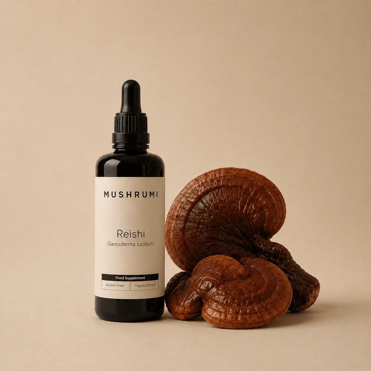 Reishi - Alcohol - Free Organic Extract 100ml - mushrumi.ch